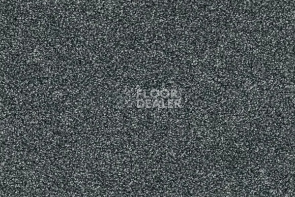 Ковровая плитка Modulyss Force Force 095 фото 1 | FLOORDEALER